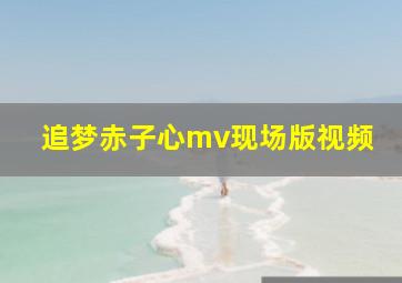 追梦赤子心mv现场版视频