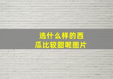 选什么样的西瓜比较甜呢图片