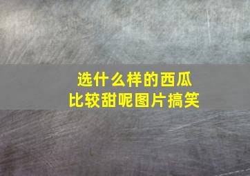 选什么样的西瓜比较甜呢图片搞笑