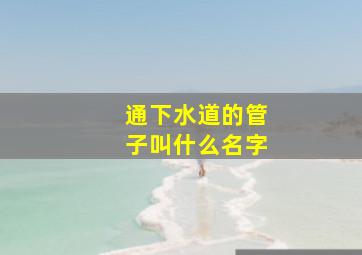 通下水道的管子叫什么名字