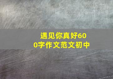 遇见你真好600字作文范文初中