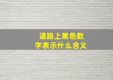 道路上黑色数字表示什么含义