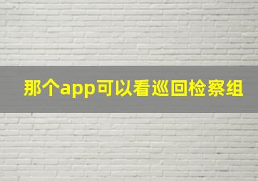 那个app可以看巡回检察组