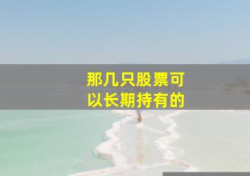 那几只股票可以长期持有的