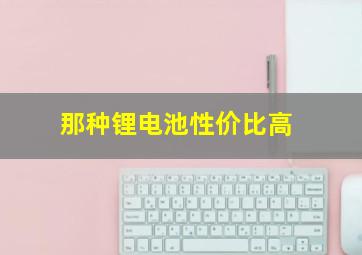 那种锂电池性价比高