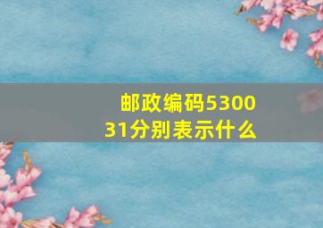 邮政编码530031分别表示什么