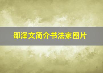 邵泽文简介书法家图片