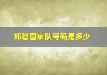 郑智国家队号码是多少