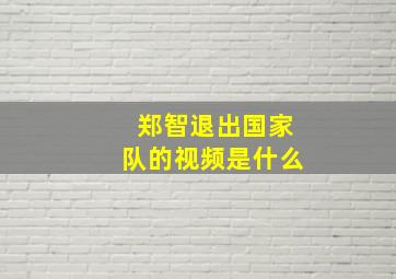 郑智退出国家队的视频是什么