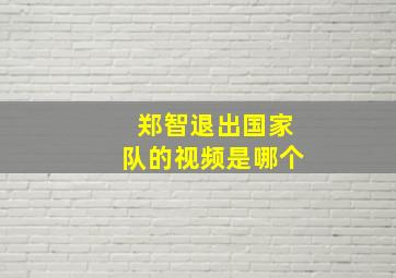 郑智退出国家队的视频是哪个