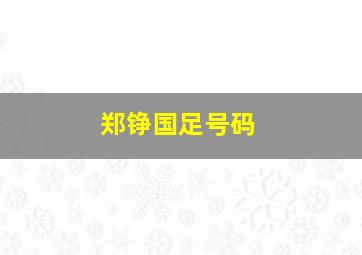 郑铮国足号码