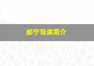 郝宁导演简介