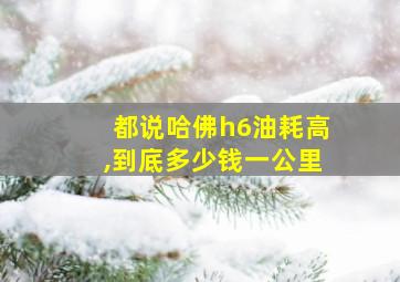 都说哈佛h6油耗高,到底多少钱一公里