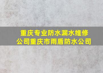 重庆专业防水漏水维修公司重庆市雨盾防水公司