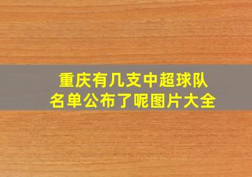 重庆有几支中超球队名单公布了呢图片大全