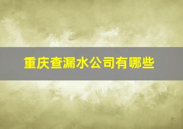 重庆查漏水公司有哪些