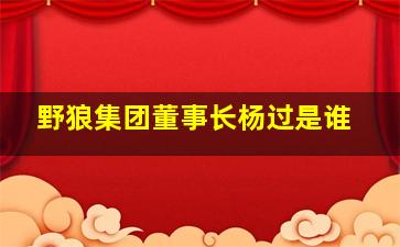 野狼集团董事长杨过是谁