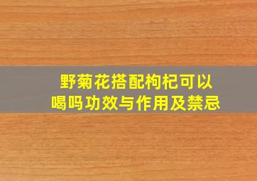 野菊花搭配枸杞可以喝吗功效与作用及禁忌