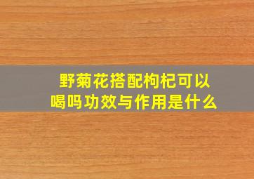 野菊花搭配枸杞可以喝吗功效与作用是什么