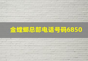 金螳螂总部电话号码6850