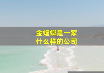 金螳螂是一家什么样的公司