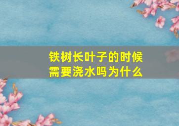 铁树长叶子的时候需要浇水吗为什么