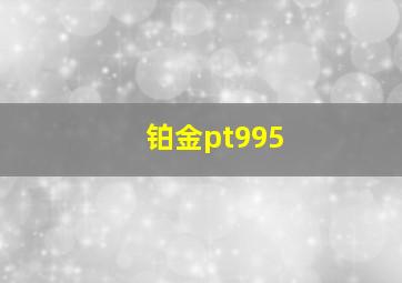 铂金pt995