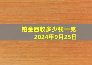 铂金回收多少钱一克2024年9月25日