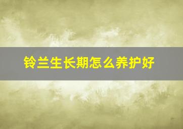 铃兰生长期怎么养护好