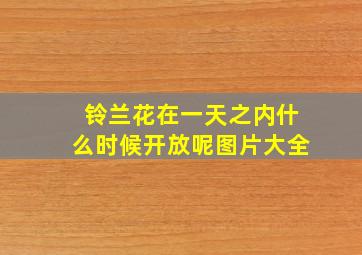 铃兰花在一天之内什么时候开放呢图片大全