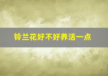 铃兰花好不好养活一点