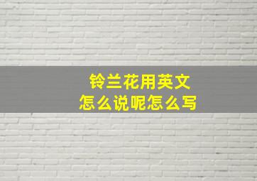 铃兰花用英文怎么说呢怎么写