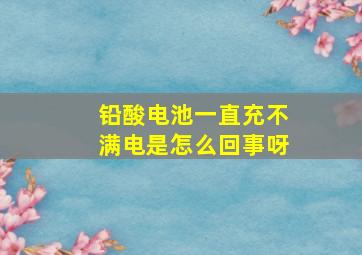 铅酸电池一直充不满电是怎么回事呀