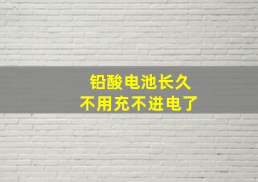 铅酸电池长久不用充不进电了