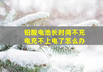 铅酸电池长时间不充电充不上电了怎么办