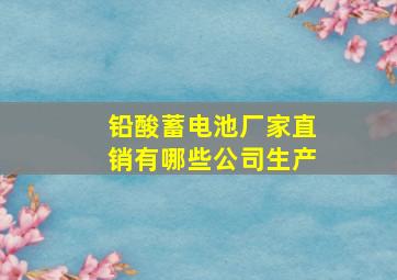 铅酸蓄电池厂家直销有哪些公司生产