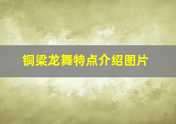 铜梁龙舞特点介绍图片