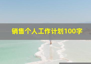 销售个人工作计划100字