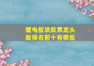 锂电板块股票龙头股排名前十有哪些