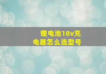 锂电池18v充电器怎么选型号