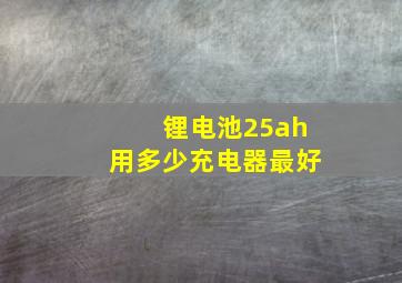 锂电池25ah用多少充电器最好