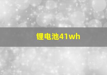 锂电池41wh