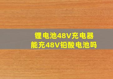 锂电池48V充电器能充48V铅酸电池吗