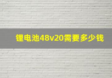 锂电池48v20需要多少钱