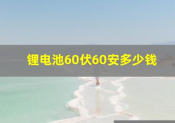 锂电池60伏60安多少钱