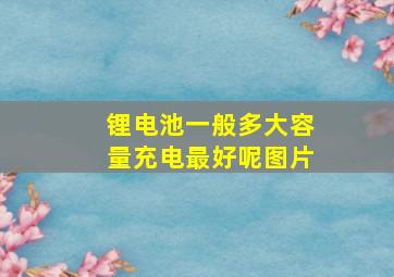 锂电池一般多大容量充电最好呢图片