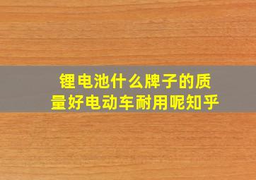 锂电池什么牌子的质量好电动车耐用呢知乎