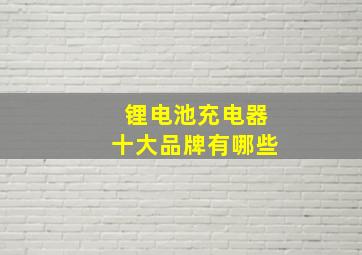 锂电池充电器十大品牌有哪些