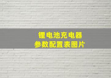 锂电池充电器参数配置表图片