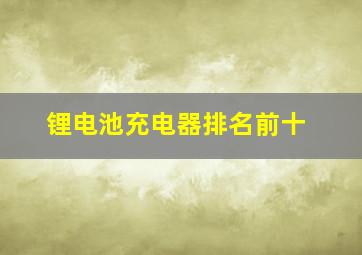 锂电池充电器排名前十